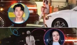 明星大爆料最新2021,娱乐圈风云再起，独家揭秘幕后真相