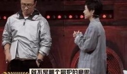 景岗山爆料汪峰视频全集,景岗山独家爆料视频全集深度解析